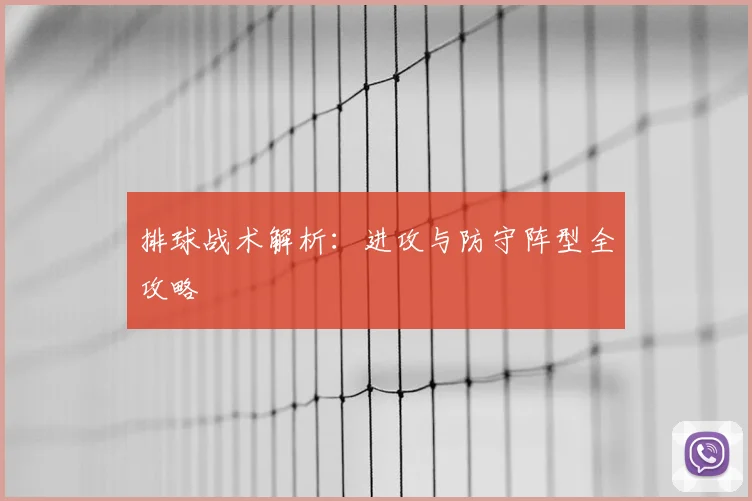 排球战术解析：进攻与防守阵型全攻略